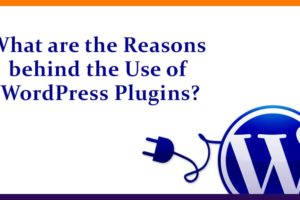 What are the Reasons behind the Use of WordPress Plugins