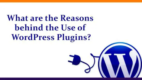 What are the Reasons behind the Use of WordPress Plugins