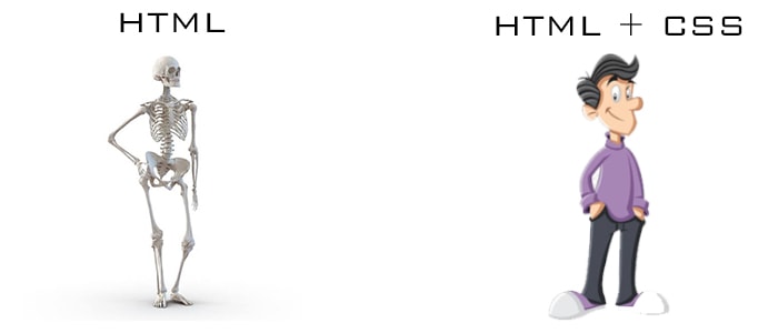 Difference Between HTML and CSS